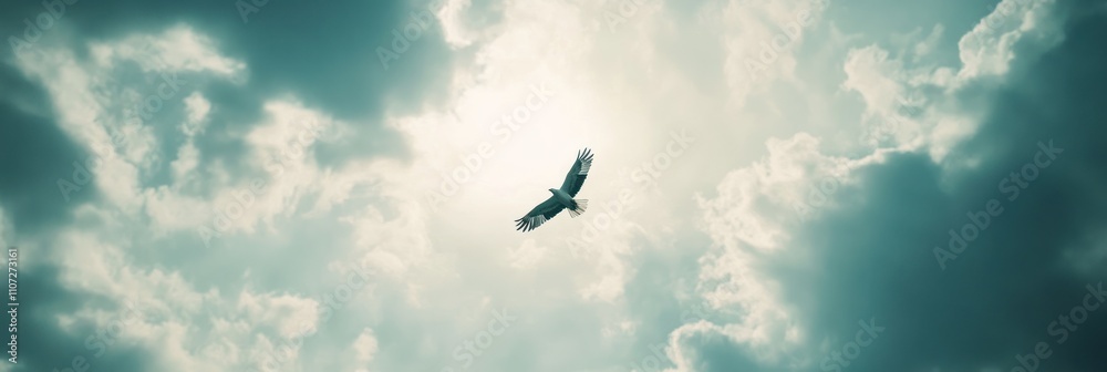 A bird soaring through a cloudy sky, symbolizing freedom and nature's beauty. A bird soaring through a cloudy sky, symbolizing freedom and nature's beauty.