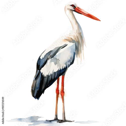 A watercolor painting of Stork, isolated on a white background. Stork vector.