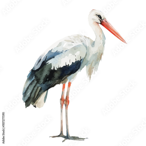 A watercolor drawing of Stork, isolated on a white background. Stork vector.