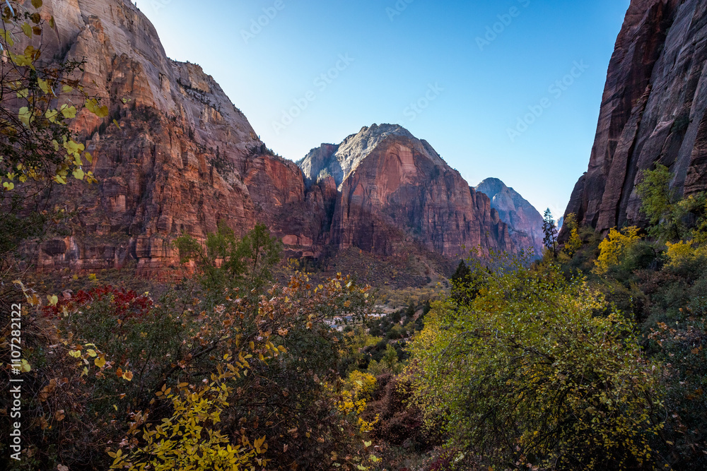 Panoramic view of Zion Canyon from West Rim Trail