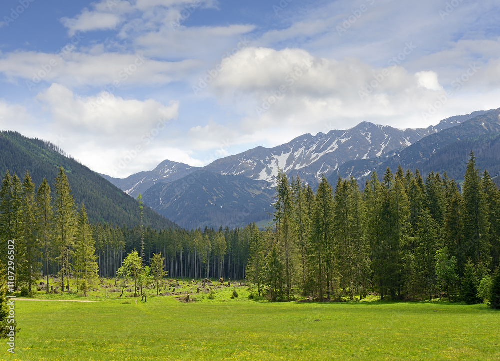 Landscape nearby mountain chalet Zverovka, Western Tatras (Rohace), Slovakia