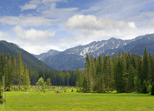 Obraz na płótnie Landscape nearby mountain chalet Zverovka, Western Tatras (Rohace), Slovakia w salonie