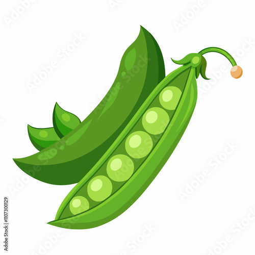 Peas With Vector