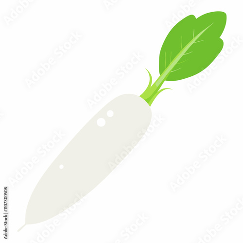 Long white radish With Vector