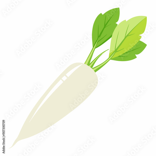 Long white radish