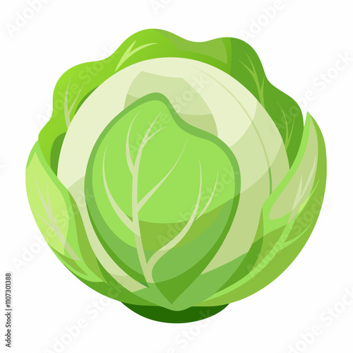 cabbage