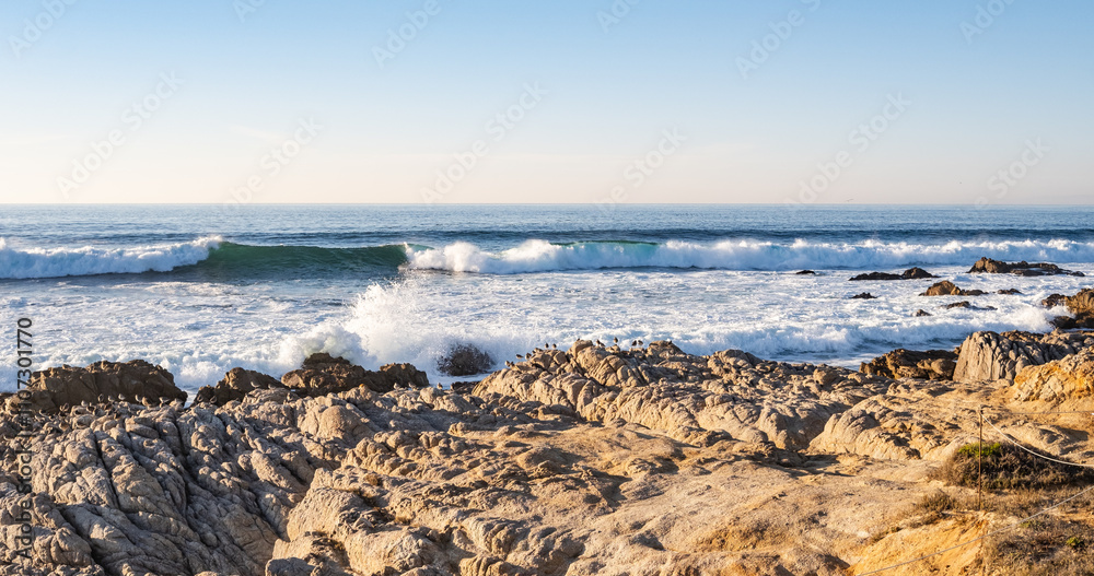 waves crashing along the rocky shoreline at Pacific Grove, California, USA in late afternoon in November