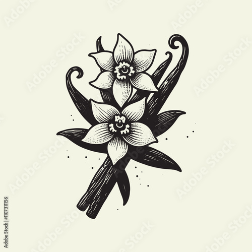 Vanilla. Flower and sticks.  Vintage black engraving illustration. Icon, logo, emblem. Isolated object