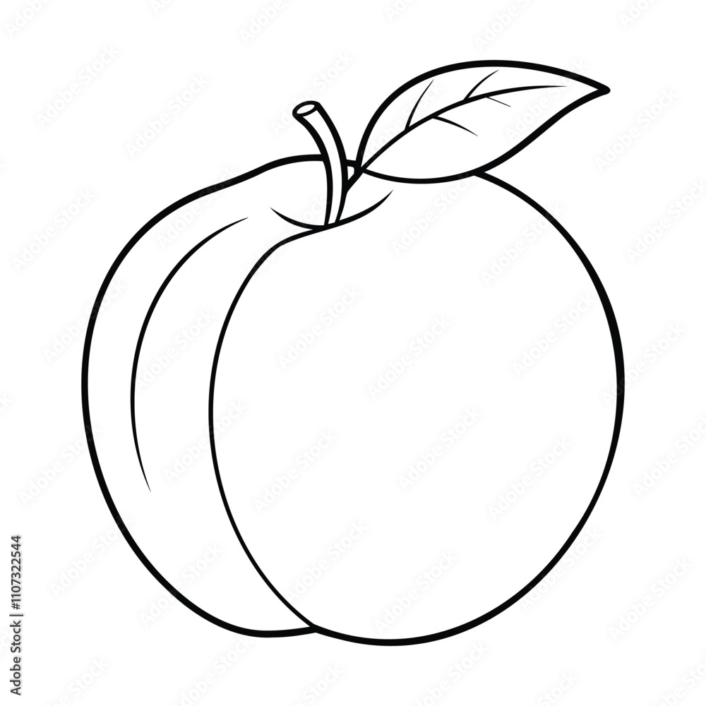 Black and white outline drawing of an apricot with a leaf