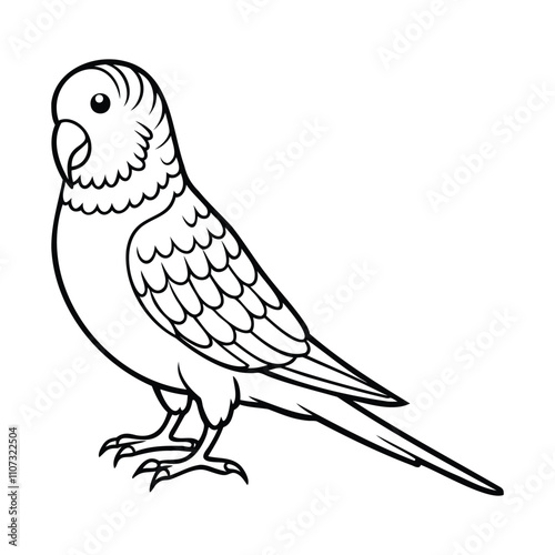 Black and white outline drawing of a budgerigar, showcasing its distinct features like curved beak and long tail