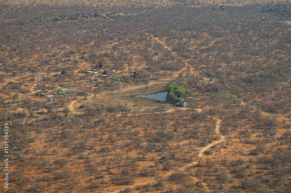 Luftbild Landschaftsbild - Flora Botanik Busch im Krüger National Park - Kruger Nationalpark Südafrika