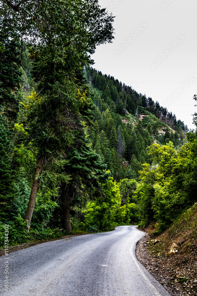Obraz premium road in the mountains