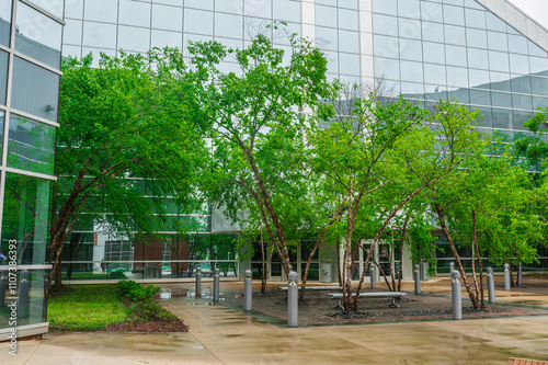 Each tree stands as a reminder that, like nature, every student can grow and reach new heights, Georgia Gwinnett College, Lawrenceville, Georgia, United States of America