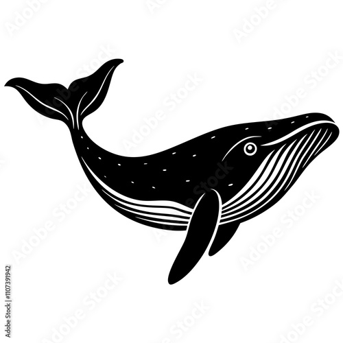 Humpback Whale Vector Art on White Background