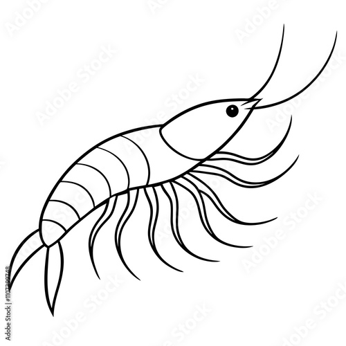 Krill Vector Illustration on White Background