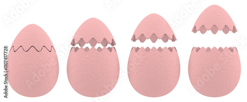 Stages of Egg Hatching