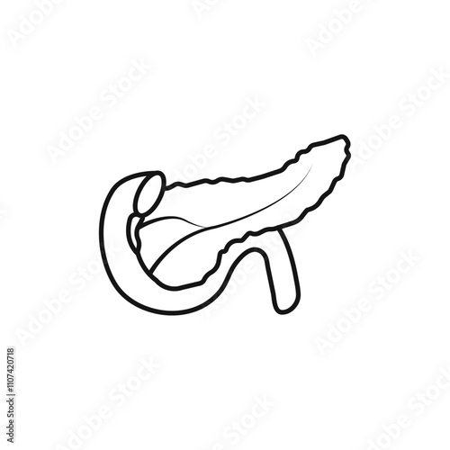 pancreas icon Simple thin line flat symbol