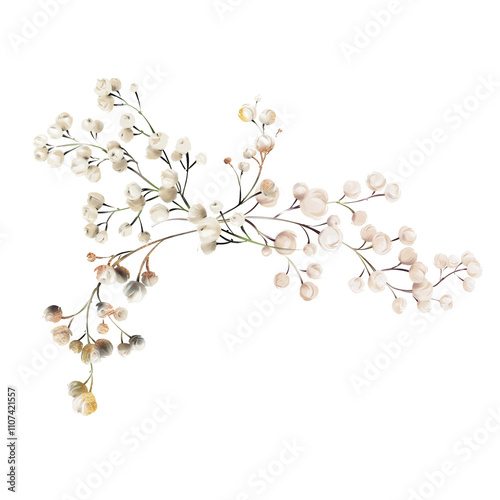 Gypsophila, Bouquet of gypsophila,, can be used as greeting card, invitation card for wedding, birthday and other holiday and summer background