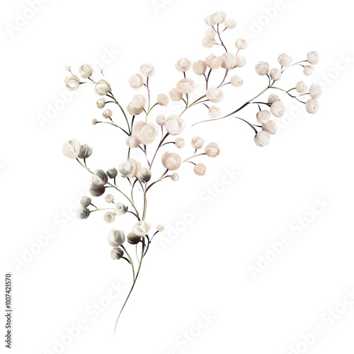 Gypsophila, Bouquet of gypsophila,, can be used as greeting card, invitation card for wedding, birthday and other holiday and summer background