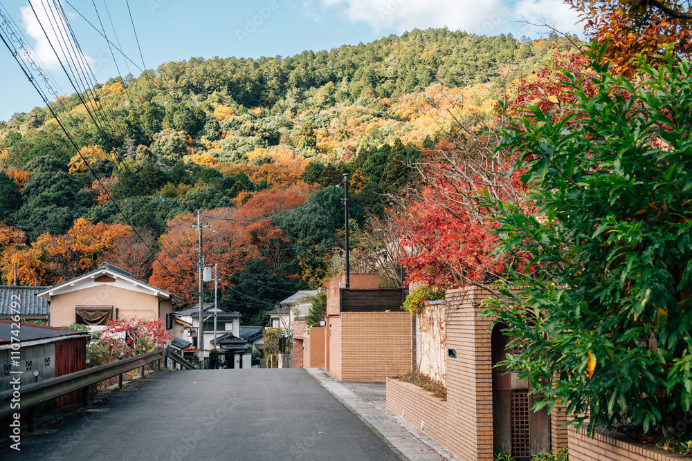 Yamashina village autumn scenery in Kyoto, Japan
