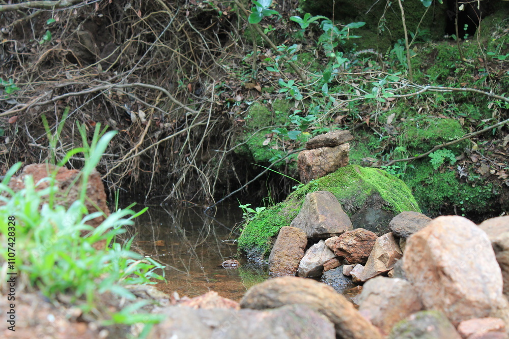 Bosque uruguayo en las sierras, naturalez y tranquilidad, bosque natural con arboles y rio en un soleado dia. La paz de la naturaleza uruguaya en las sierras. Villa serrana uruguay Bosque uruguayo en las sierras, naturalez y tranquilidad, bosque natural con arboles y rio en un soleado dia. La paz de la naturaleza uruguaya en las sierras. Villa serrana uruguay