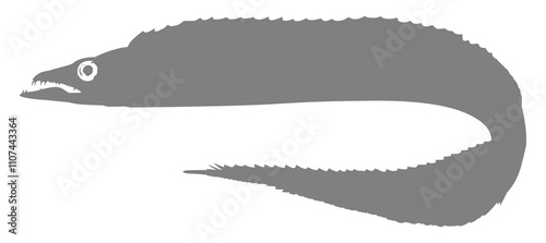 Silhouette of the Cutlass Fish, Flat Style, can use for Logo Gram, Art Illustration, Pictogram, or Graphic Design Element. Format PNG
 photo