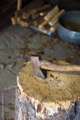 Old axe stuck in a stump, woodshed