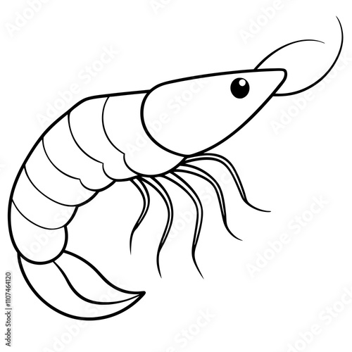 Shrimp on White Background Vector photo