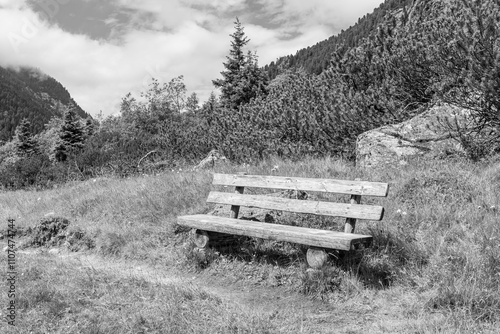 In den österreichischen Alpen photo