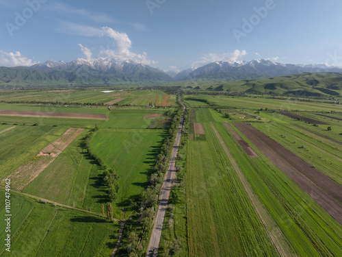 Wallpaper Mural Poppy fields on the hills near the mountains. Drone photo of a beautiful bright summer landscape. Beautiful red poppies flowers. Clouds on the blue sky. Torontodigital.ca