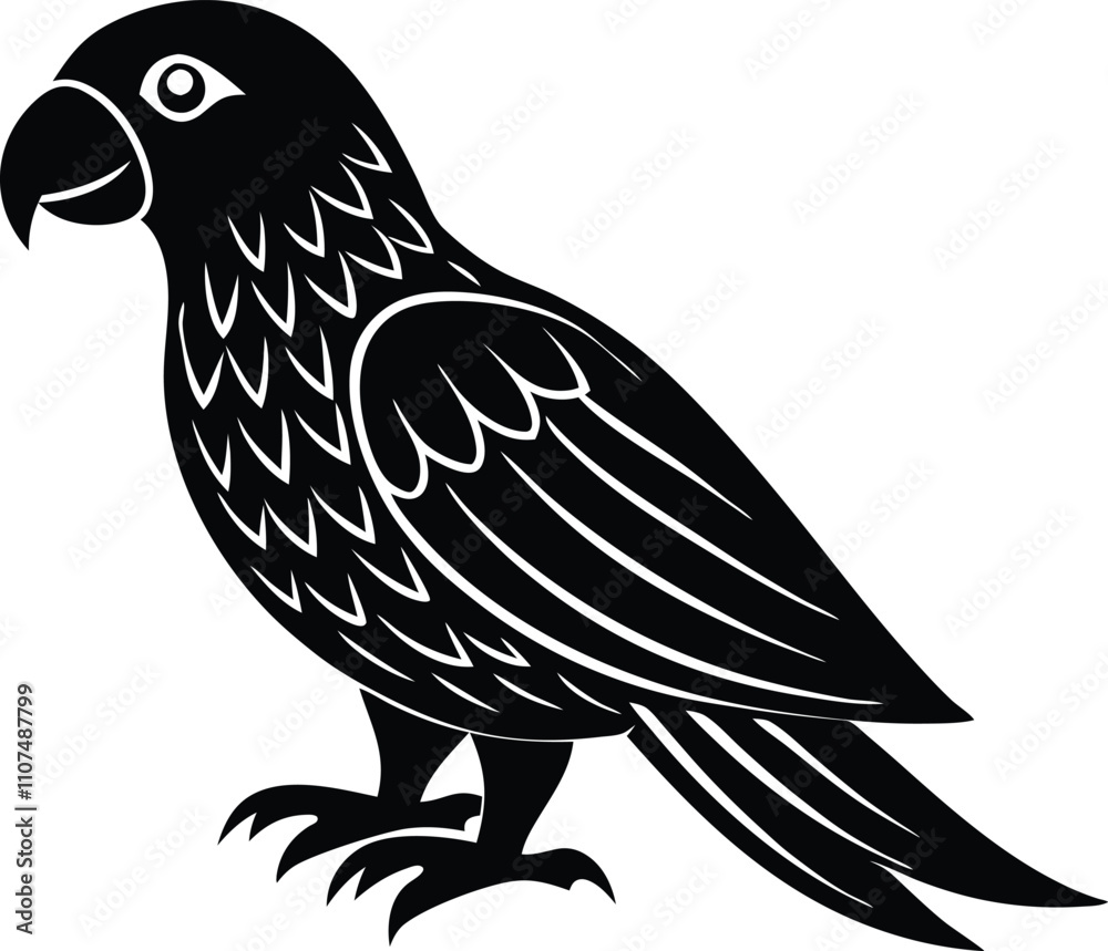 Obraz premium Parrot Bird vector