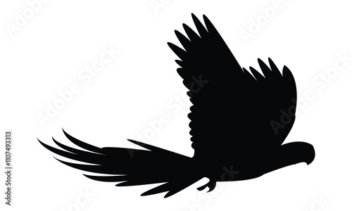 Flying Macaw Bird Silhouette Design  And Vector Illustration. 