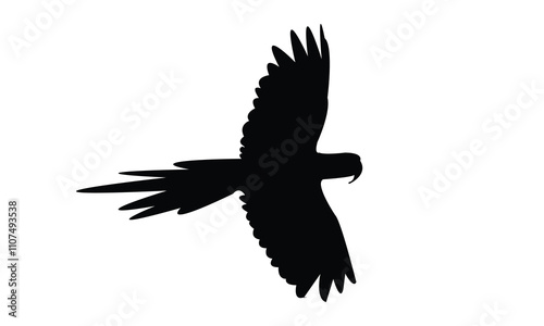 Flying Macaw Bird Silhouette Design  And Vector Illustration. 