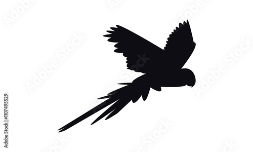 Flying Macaw Bird Silhouette Design  And Vector Illustration. 