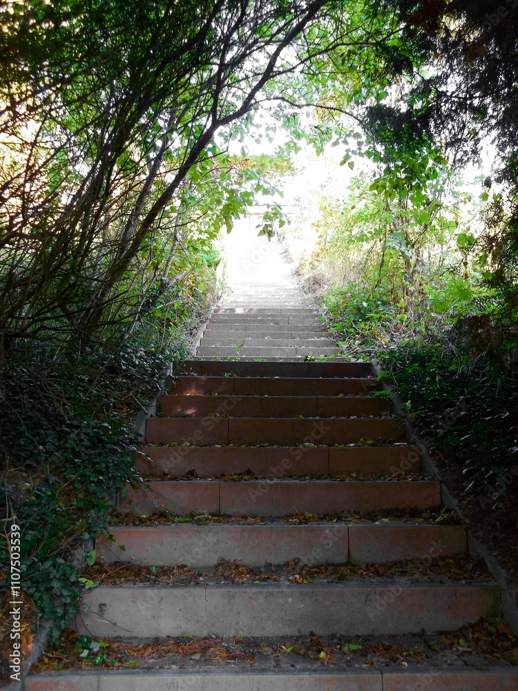 Die Steintreppe aufwärts ins grelle Licht