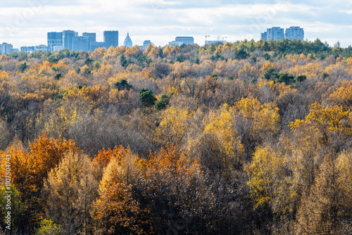 Photography aerial view of colorful park with lush foliage