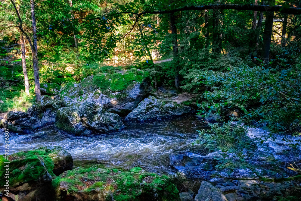 Obraz premium Hiking along ILZ River near Diessenstein in the Bavarian Forests Germany.