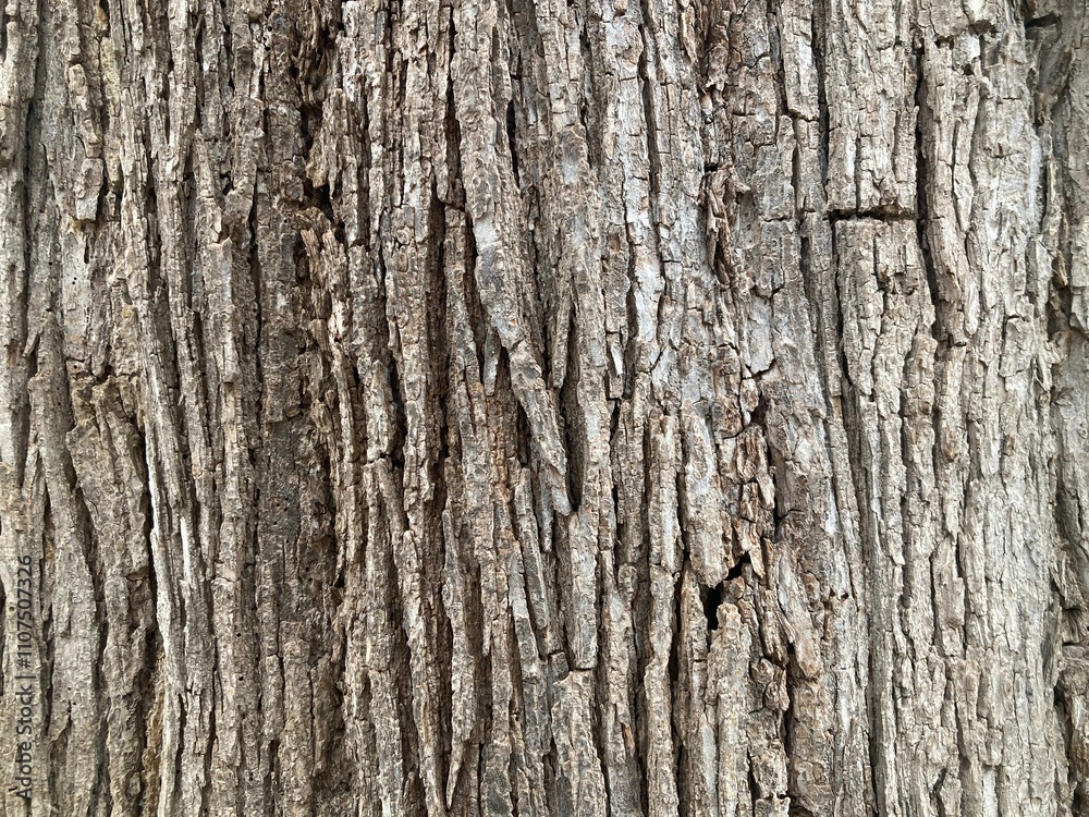 Obraz premium Simple pattern on bark