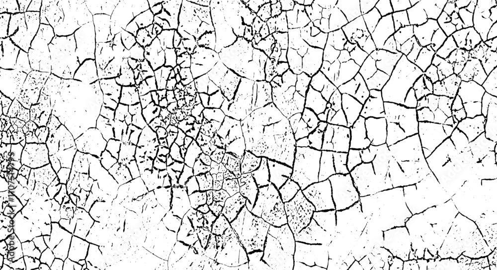 Fototapeta premium a black and white drawing of cracked walls, vintage grunge texture, a black and white drawing of a cracked land, grunge texture of old paint wall, vintage cracked background, 
