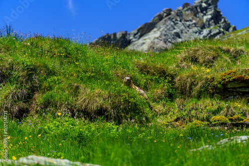 Mittersill in den österreichischen Alpen