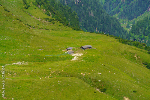 Mittersill in den österreichischen Alpen photo