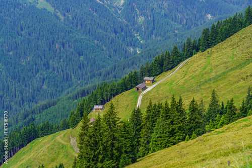 Mittersill in den österreichischen Alpen photo