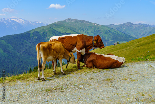 Mittersill in den österreichischen Alpen photo