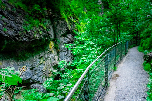 Hiking through the Giessenbach Gorge in Bavaria Germany photo