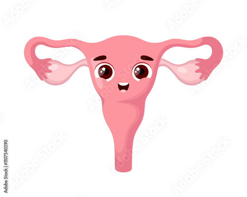 Uterus on a white background in cartoon style. A human organ. Vector illustration.
