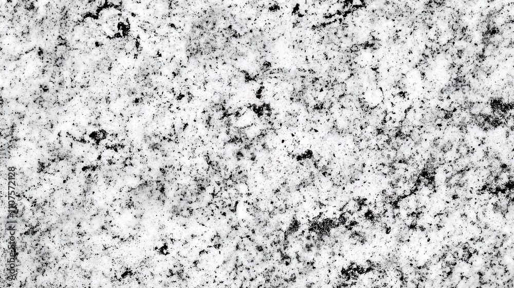 Obraz premium Close-up of a textured white and black granite surface, perfect for modern design projects.