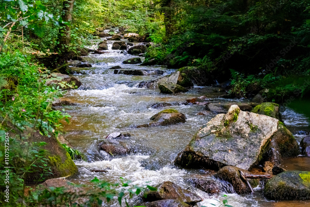 Hiking along Otterbach in the Otterbach Valley in the Bavarian Forests. Germany. Hiking along Otterbach in the Otterbach Valley in the Bavarian Forests. Germany.