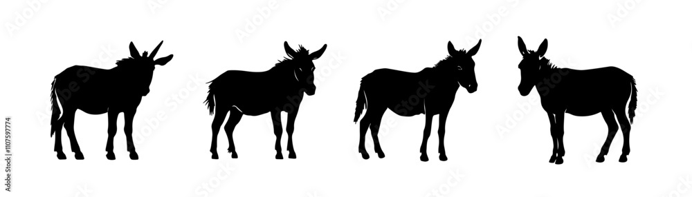 Fototapeta premium Silhoutte of donkeys animal livestock