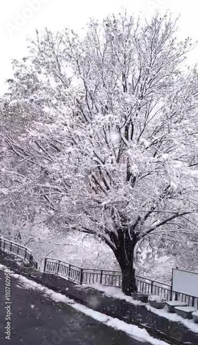 용마산 설산, 망우산 설산, 첫눈