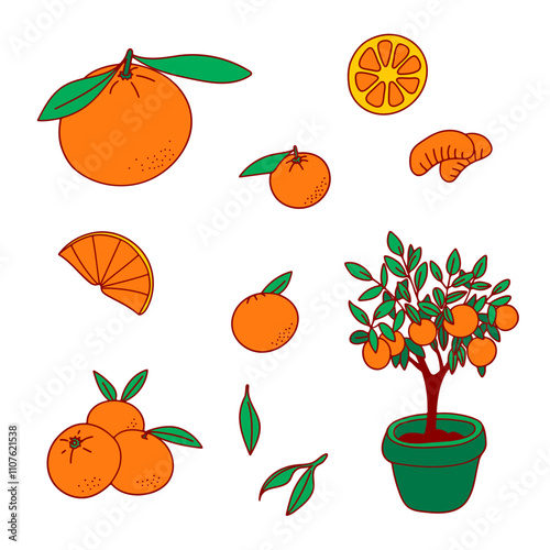 Citrus fruit clipart set. Orange tree, tangerine, clementine, leaves. Simple doodle icons, bright colors, white background. Web, digital design, menus, logos, stickers, kitchen decor, packaging